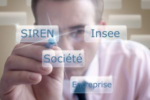 Base Sirene des entreprises et de leurs établissements